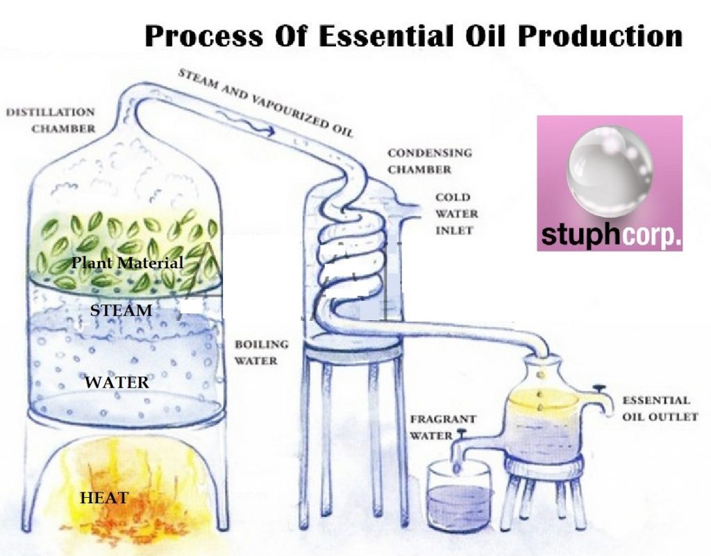 Stuph offre nano-emulsificatori di alta qualità e di qualità alimentare per la formulazione di nanoemulsioni olio essenziale in acqua (O/W). Le nanoemulsioni Stuph hanno un aspetto chiaro e trasparente e un ottimo sapore! 